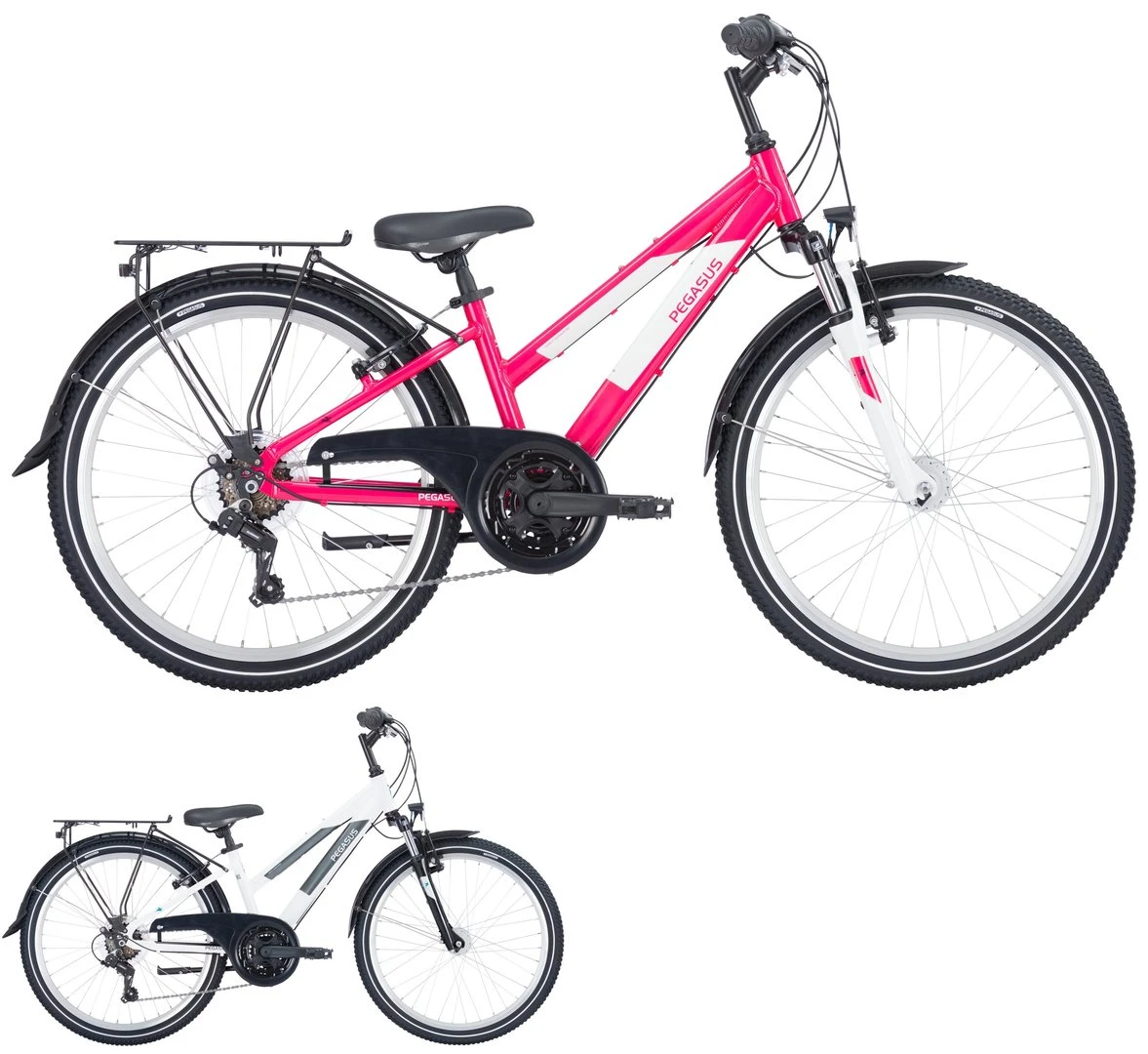 Pegasus Avanti 2023 18-Gang