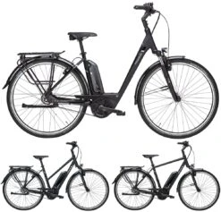 Pegasus Premio-E8F-Belt Comfort 8-Gang 2019