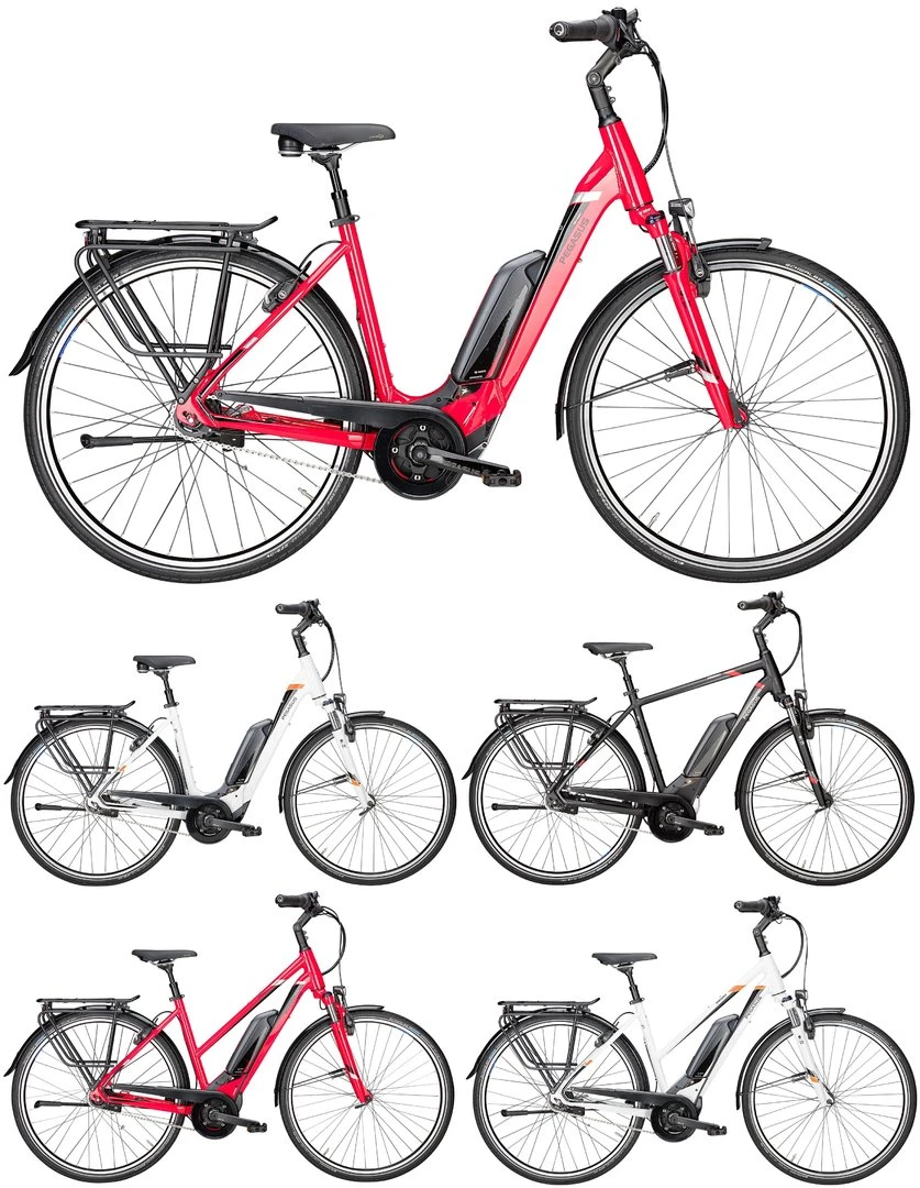 Pegasus Premio-E8F Sport 2018 3 Pegasus Premio-E8F Sport 2018