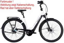 Pegasus Premio-Evo-10 Lite-Comfort 2021 9 Pegasus Premio-Evo-10 Lite-Comfort 2021 -Stilvoller Laden Für Fahrradausrüstung Pegasus Premio Evo 10 Lite Comfort 2021 Tiefeinstieg Unisex Damen Wave metallic off white black matt weiss schwarz 734 735 736 42645 42650 42655