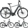 Pegasus Premio-Evo-12 Lite 2020 -Stilvoller Laden Für Fahrradausrüstung Pegasus Premio Evo 12 Lite 2020 black chrome black matt Bosch Performanceline CX 400Wh 500Wh 625Wh