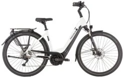 Pegasus Strong-Evo-10 2022 -Stilvoller Laden Für Fahrradausrüstung Pegasus Strong Evo 10 2022 Tiefeinstieg Unisex Damen Wave metallic off white black matt weiss schwarz 644 645 646 55845 55850 55855 55860