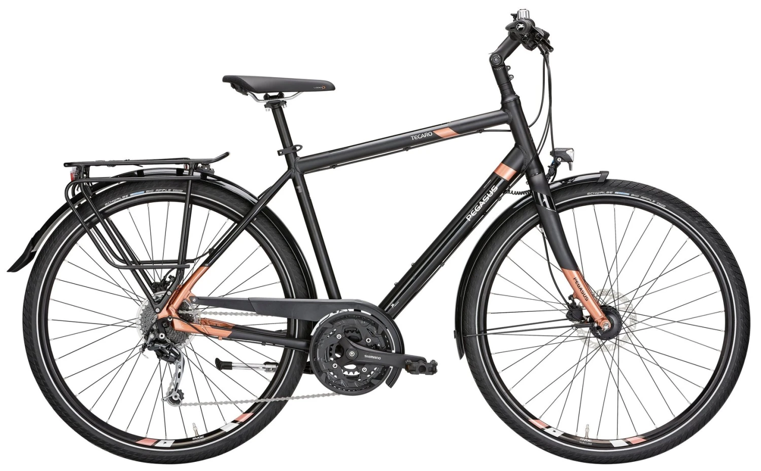 Pegasus Tecaro SL 2018 27-Gang 4 Pegasus Tecaro SL 2018 27-Gang – Bild 2