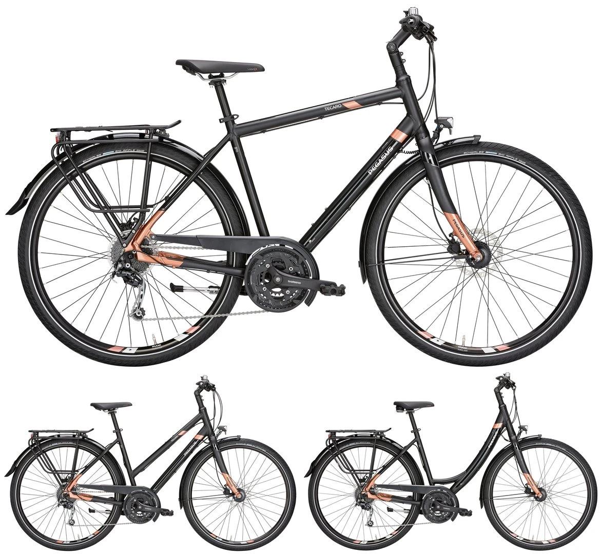 Pegasus Tecaro SL 2018 27-Gang 3 Pegasus Tecaro SL 2018 27-Gang